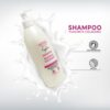 shampoo sin sal